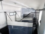 Cheval Liberte Pferdeanhänger Maxi 3| 3 Pferde| Pullmann 2 Fahrwerk| schwarz-Neu – Image 3