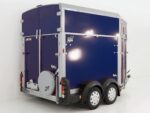 Ifor Williams Pferdeanhänger HB511|blau|Frontausstieg-Neu – Image 3