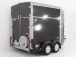 Ifor Williams Pferdeanhänger HB511|Frontausstieg-Neu – Image 4