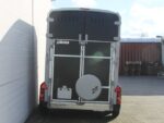 Ifor Williams Pferdeanhänger HB506|Frontausstieg|Klappenkombi-Neu – Image 7