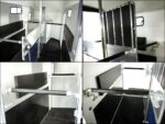 Cheval Liberte Pferdeanhänger Multi Max 2 | schwarz-Neu – Image 10