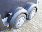 Ifor Williams Pferdeanhänger HB506|Frontausstieg|Klappenkombi|schwarz-Neu – Image 11