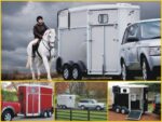 Ifor Williams Pferdeanhänger HB506|Frontausstieg|Klappenkombi|schwarz-Neu – Image 14